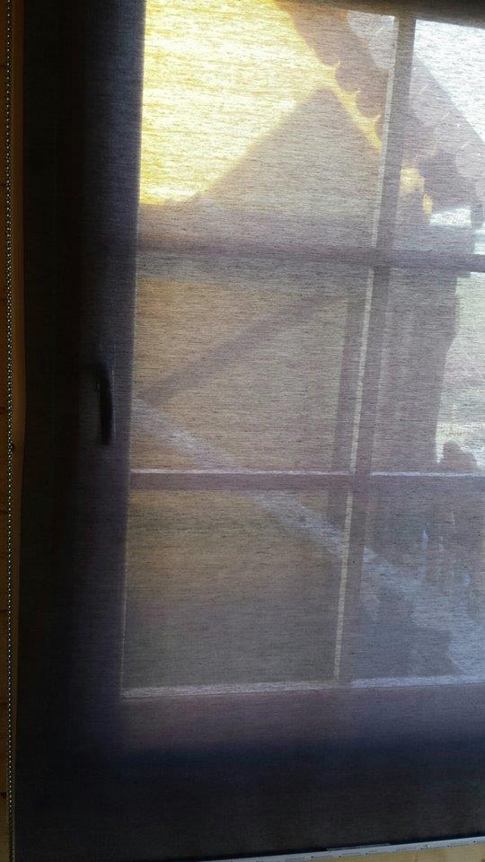 CASUTE BALTA SULIMANU 2014 - casute-sulimanu-9.jpg